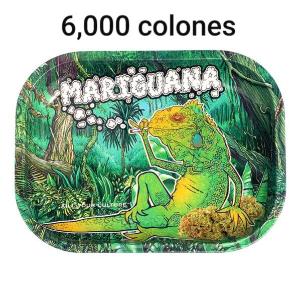 Kill Your Culture Rolling Tray – Iguana