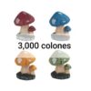 Decorative Mushroom mini