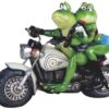Frog on Motorcycle