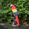 Majestic Red Macaw Parrot Statue - 13.97" Resin Bird